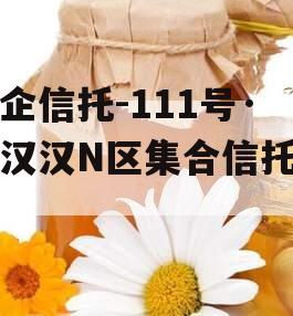 央企信托-111号·武汉汉N区集合信托计划