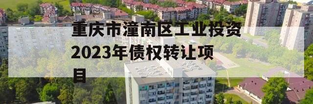 重庆市潼南区工业投资2023年债权转让项目