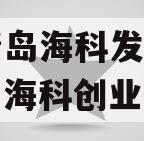 山东青岛海科发展债权（青岛海科创业中心）