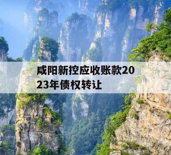 咸阳新控应收账款2023年债权转让