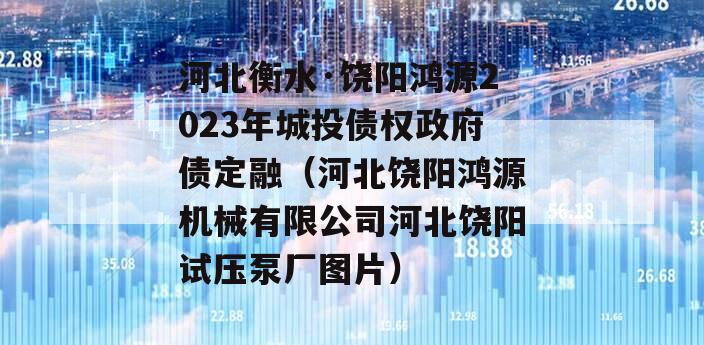 河北衡水·饶阳鸿源2023年城投债权政府债定融（河北饶阳鸿源机械有限公司河北饶阳试压泵厂图片）