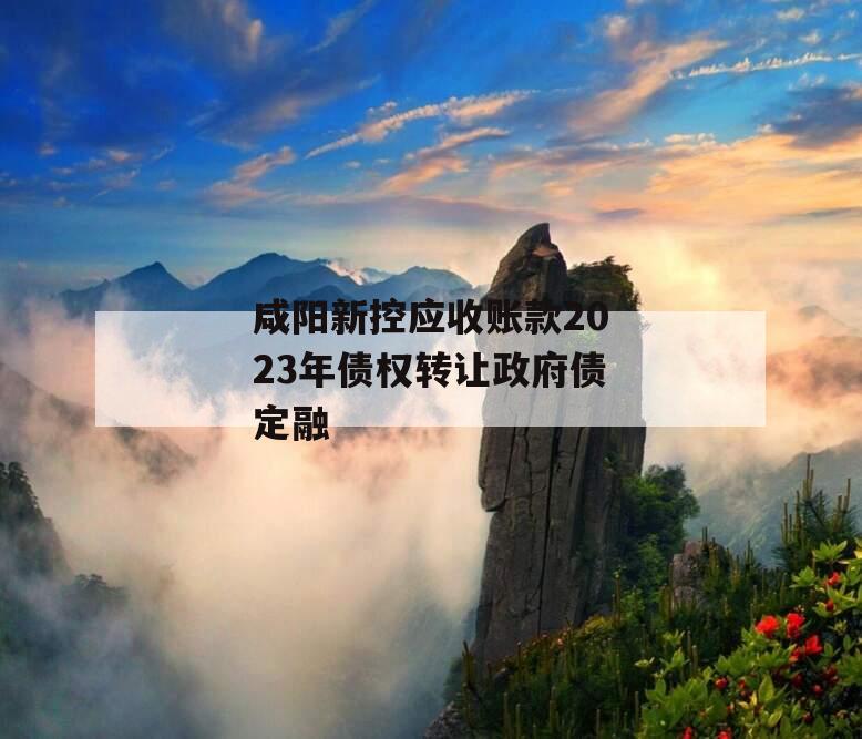 咸阳新控应收账款2023年债权转让政府债定融