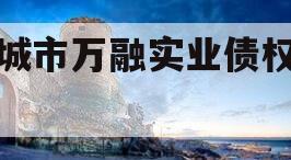 邹城市万融实业债权资产