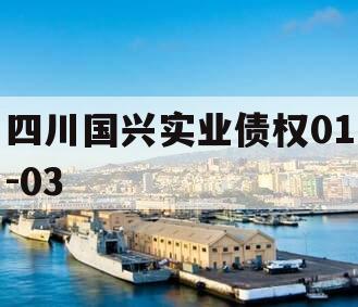 四川国兴实业债权01-03