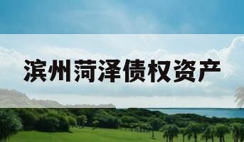 滨州菏泽债权资产
