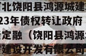 河北饶阳县鸿源城建2023年债权转让政府债定融（饶阳县鸿源城市建设开发有限公司）