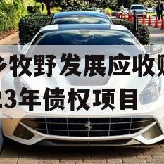 新乡牧野发展应收账款2023年债权项目 新乡牧野发展应收账款2023年债权项目