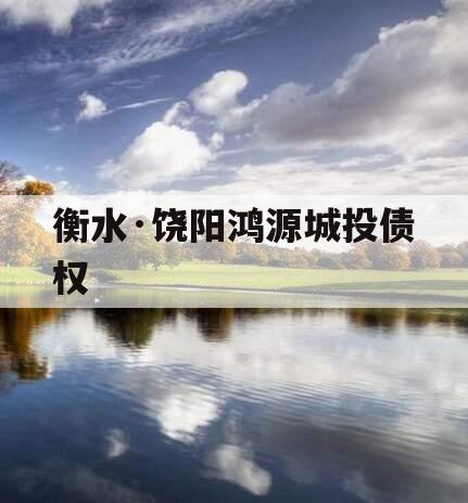 衡水·饶阳鸿源城投债权