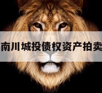 南川城投债权资产拍卖