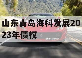 山东青岛海科发展2023年债权