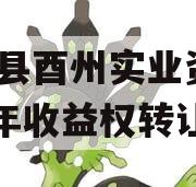 酉阳县酉州实业资产2023年收益权转让