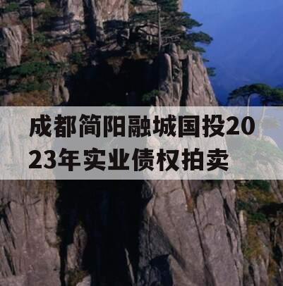 成都简阳融城国投2023年实业债权拍卖