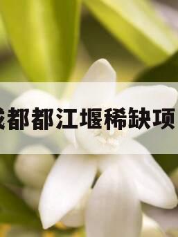 成都都江堰稀缺项目