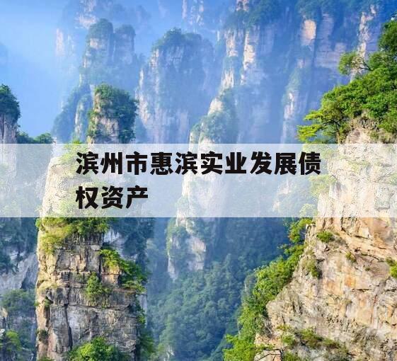 滨州市惠滨实业发展债权资产