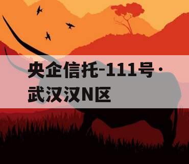央企信托-111号·武汉汉N区