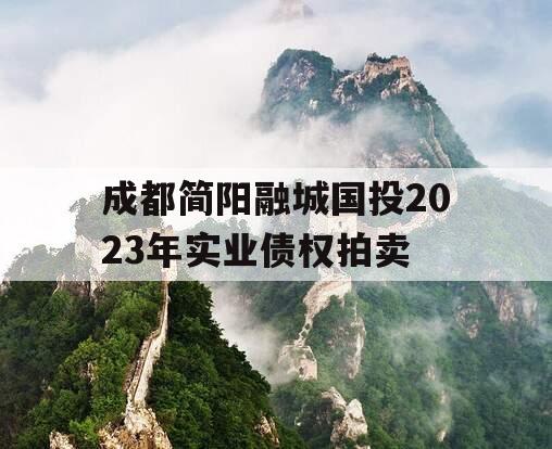 成都简阳融城国投2023年实业债权拍卖