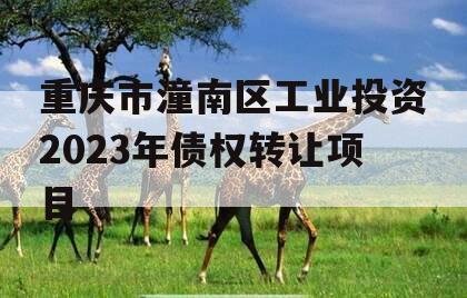 重庆市潼南区工业投资2023年债权转让项目