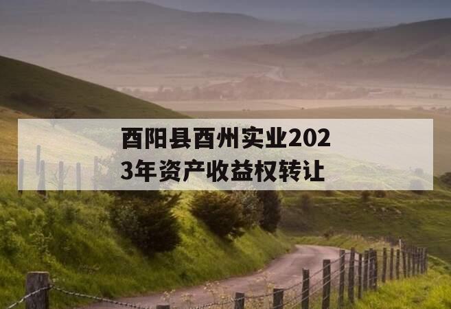 酉阳县酉州实业2023年资产收益权转让