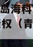 山东青岛海科发展2023年债权（青岛海科投资）