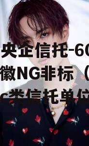 A类央企信托-60号·安徽NG非标（a类b类c类信托单位）