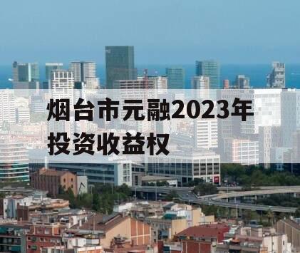 烟台市元融2023年投资收益权 烟台市元融2023年投资收益权