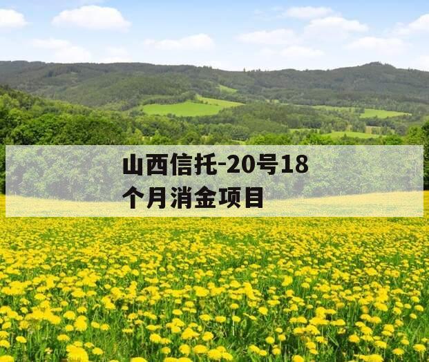 山西信托-20号18个月消金项目