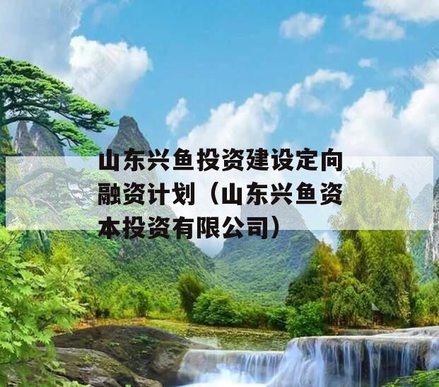 山东兴鱼投资建设定向融资计划（山东兴鱼资本投资有限公司）