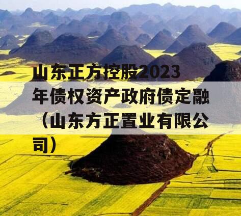 山东正方控股2023年债权资产政府债定融（山东方正置业有限公司）