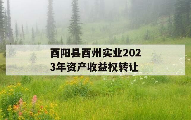 酉阳县酉州实业2023年资产收益权转让