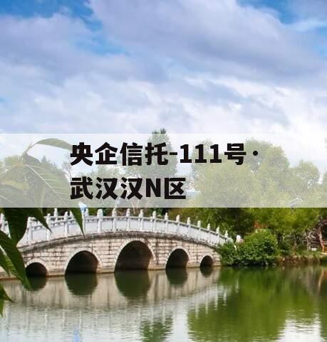 央企信托-111号·武汉汉N区