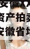 2023年安徽XX城建债权资产拍卖政府债定融（安徽省地方债发行）