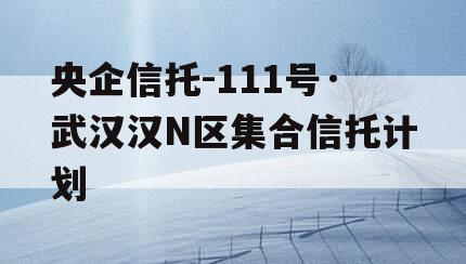 央企信托-111号·武汉汉N区集合信托计划