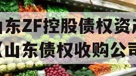 山东ZF控股债权资产（山东债权收购公司）