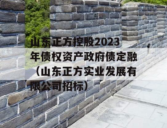 山东正方控股2023年债权资产政府债定融（山东正方实业发展有限公司招标）