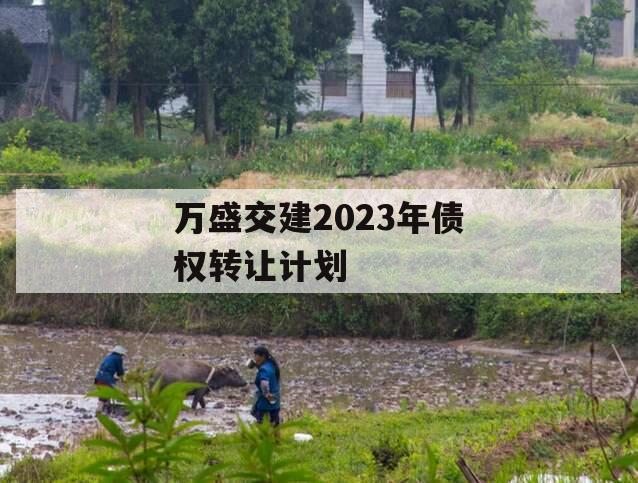 万盛交建2023年债权转让计划