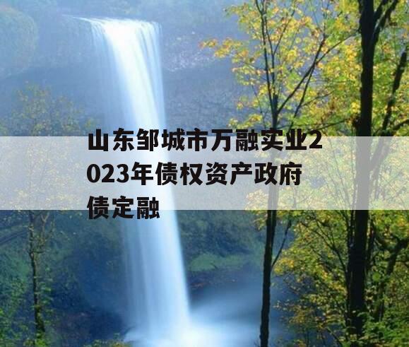 山东邹城市万融实业2023年债权资产政府债定融 山东邹城市万融实业2023年债权资产政府债定融
