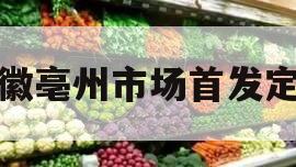 安徽亳州市场首发定融 安徽亳州市场首发定融