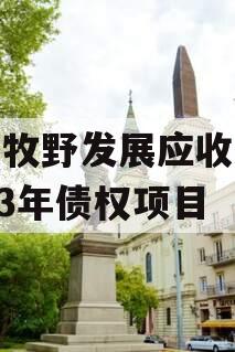 新乡牧野发展应收账款2023年债权项目 新乡牧野发展应收账款2023年债权项目