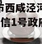 西安市西咸泾河2023年政信1号政府债定融