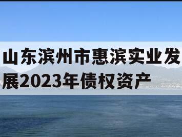 山东滨州市惠滨实业发展2023年债权资产 山东滨州市惠滨实业发展2023年债权资产