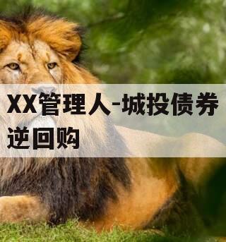 XX管理人-城投债券逆回购