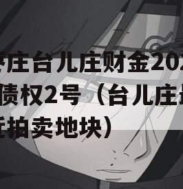 枣庄台儿庄财金2023债权2号（台儿庄最近拍卖地块）