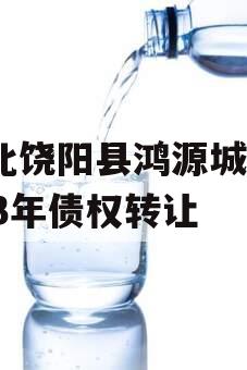 河北饶阳县鸿源城建2023年债权转让 河北饶阳县鸿源城建2023年债权转让