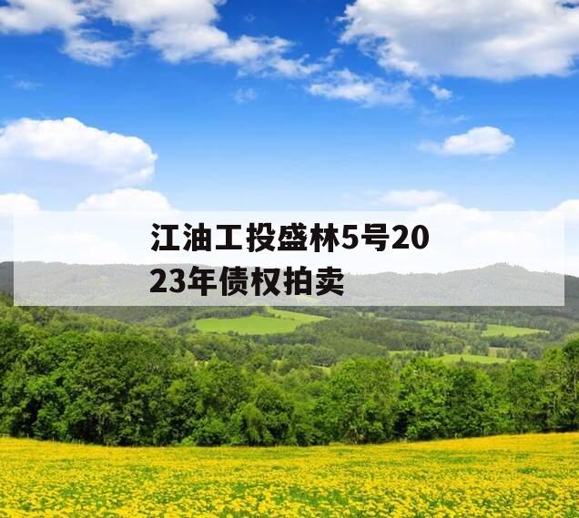 江油工投盛林5号2023年债权拍卖 江油工投盛林5号2023年债权拍卖
