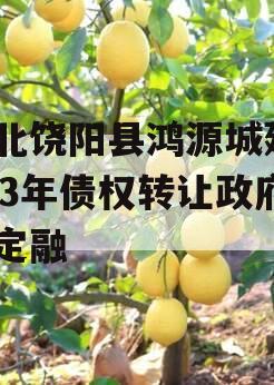 河北饶阳县鸿源城建2023年债权转让政府债定融