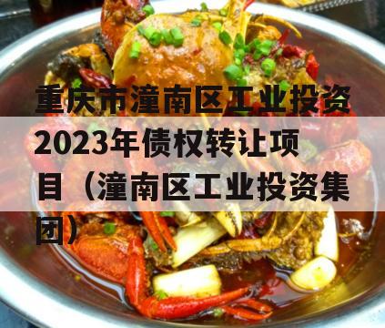 重庆市潼南区工业投资2023年债权转让项目（潼南区工业投资集团）