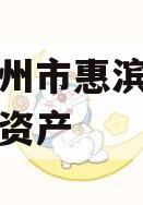 山东滨州市惠滨实业发展债权资产