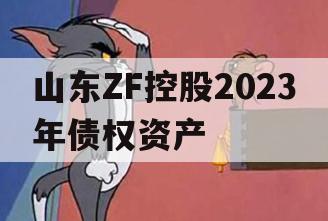 山东ZF控股2023年债权资产