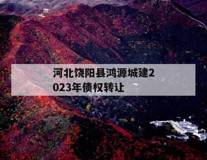 河北饶阳县鸿源城建2023年债权转让 河北饶阳县鸿源城建2023年债权转让