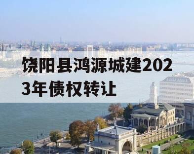 饶阳县鸿源城建2023年债权转让 饶阳县鸿源城建2023年债权转让